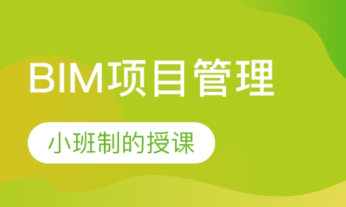 BIM项目管理 理论+取证