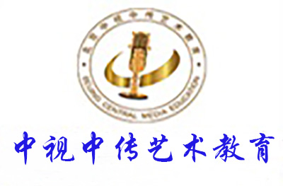 北京中视中传传媒艺考