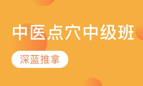 中医点穴治疗中级班
