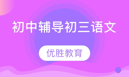 初中辅导初三语文