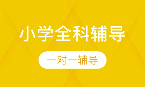小学一对一全科辅导