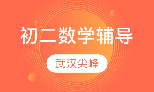 初二数学辅导