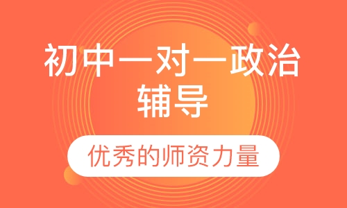 初中一对一政治辅导