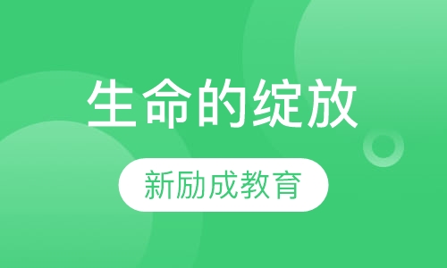 生命的绽放