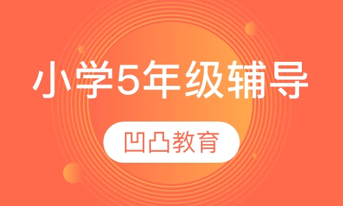 小学5年级辅导