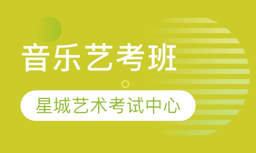 音乐艺考班