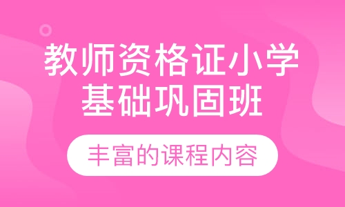 教师资格证小学基础巩固班