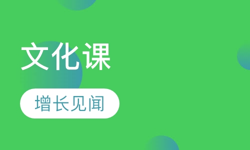 美国高中英语文化课