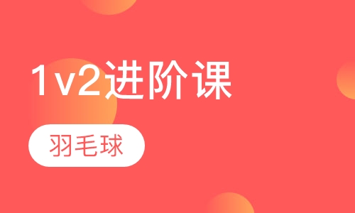 羽毛球一对二进阶课私教培训