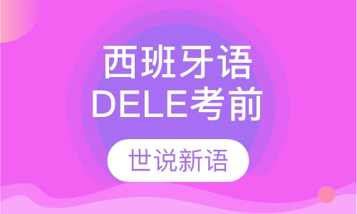 西班牙语DELE考前辅导
