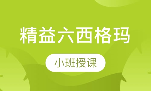 精益六西格玛