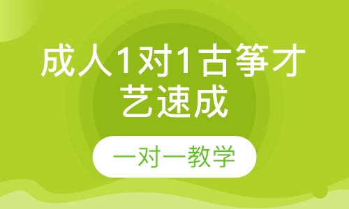 成人1对1古筝才艺速成班