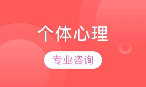个体心理咨询