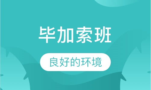 毕加索班
