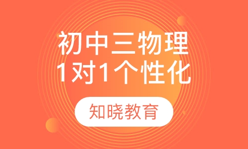 初中三年级物理 1对1个性化辅导