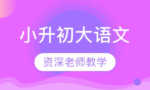 小升初大语文