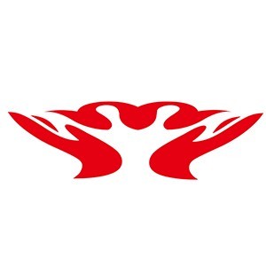 上海轻步阿姨