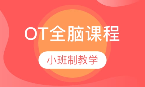 OT全脑课程