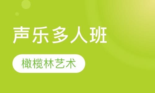 声乐多人班