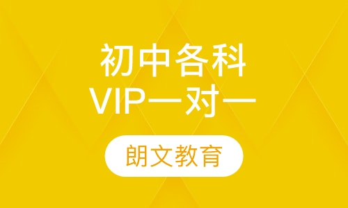 初中各科vip1对1 ，1对2