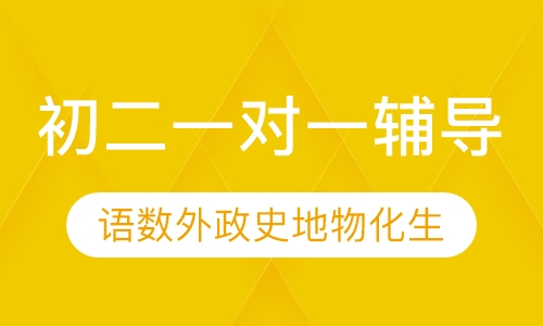 初二一对一辅导