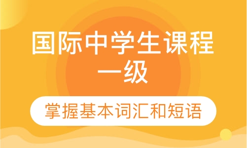 国际中学生课程一级