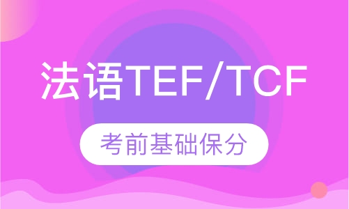 法语TEF/TCF考前基础保分精讲班