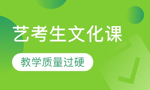 艺考生文化课辅导