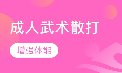 成人武术散打