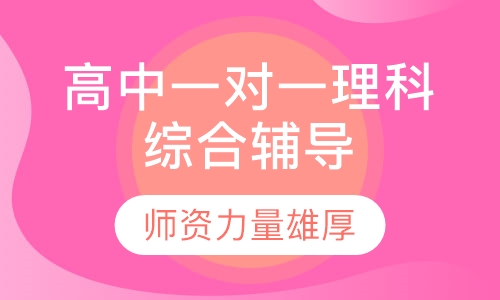 高中一对一理科综合辅导