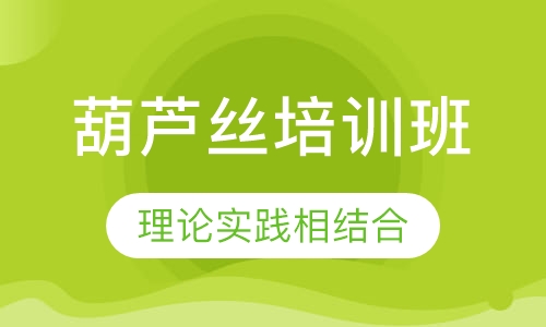 葫芦丝培训班