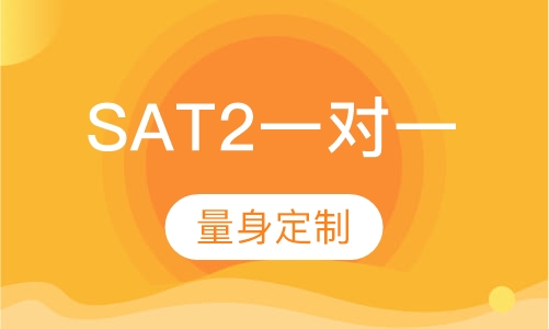 SAT2一对一