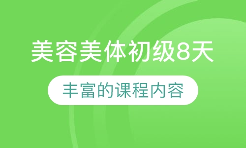 美体初级8天