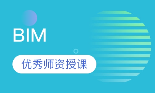 BIM