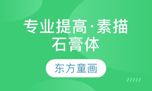 专业提高·素描石膏体