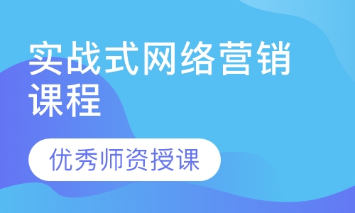 实战式网络营销课程
