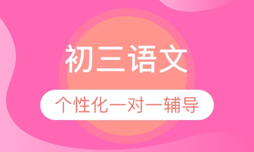 初三语文一对一辅导
