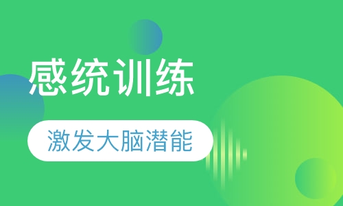 3-5岁儿童感觉统合一对一