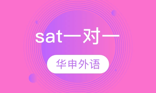 sat一对一