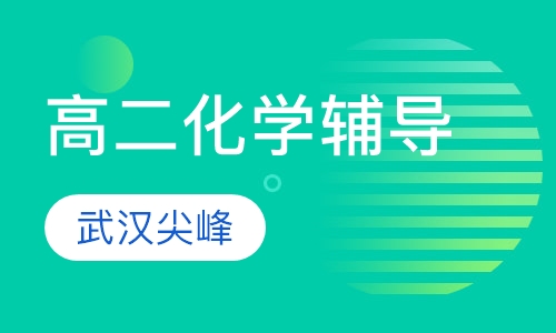 高二化学辅导