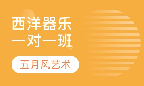 西洋器乐一对一班