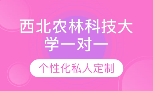 直播课西北农林科技大学一对一考研辅导班