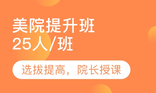 美院提升班 艺考高考美术培训