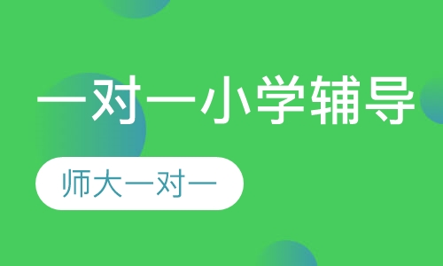 一对一小学各科辅导