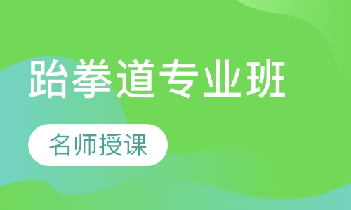 跆拳道4~18岁 专业班