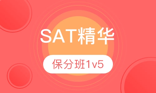 SAT精华2000分保分班1v5