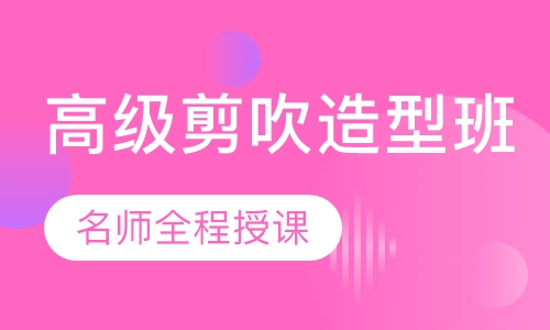 国际联盟高级剪吹造型班