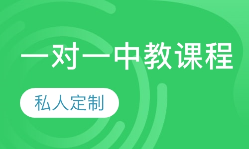 一对一中教课程