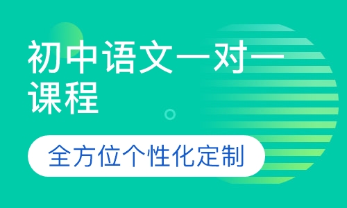 初中语文一对一课程