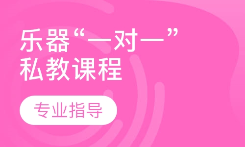 乐器“一对一”私教课程